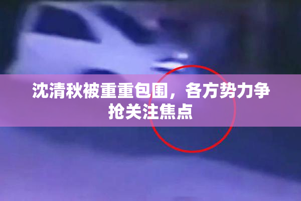沈清秋被重重包围，各方势力争抢关注焦点