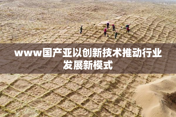 www国产亚以创新技术推动行业发展新模式