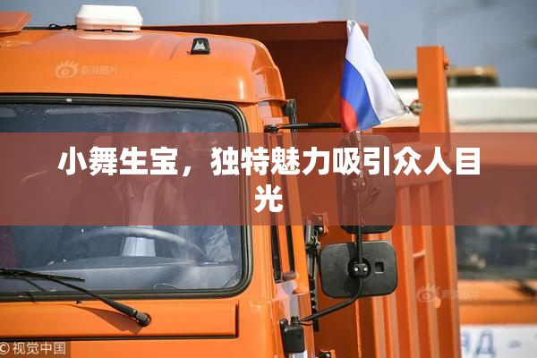 小舞生宝，独特魅力吸引众人目光