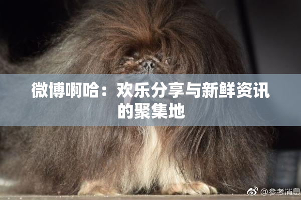 微博啊哈：欢乐分享与新鲜资讯的聚集地
