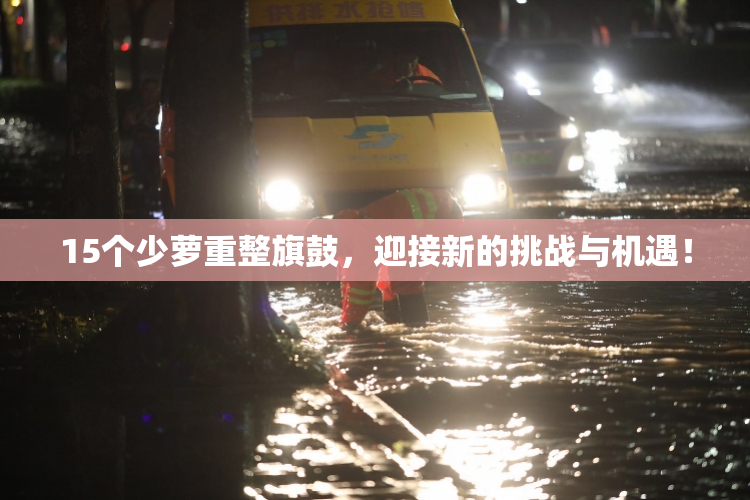 15个少萝重整旗鼓，迎接新的挑战与机遇！
