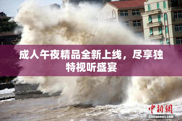 成人午夜精品全新上线，尽享独特视听盛宴
