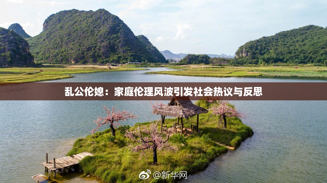乱公伦媳：家庭伦理风波引发社会热议与反思