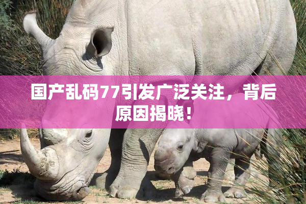国产乱码77引发广泛关注，背后原因揭晓！