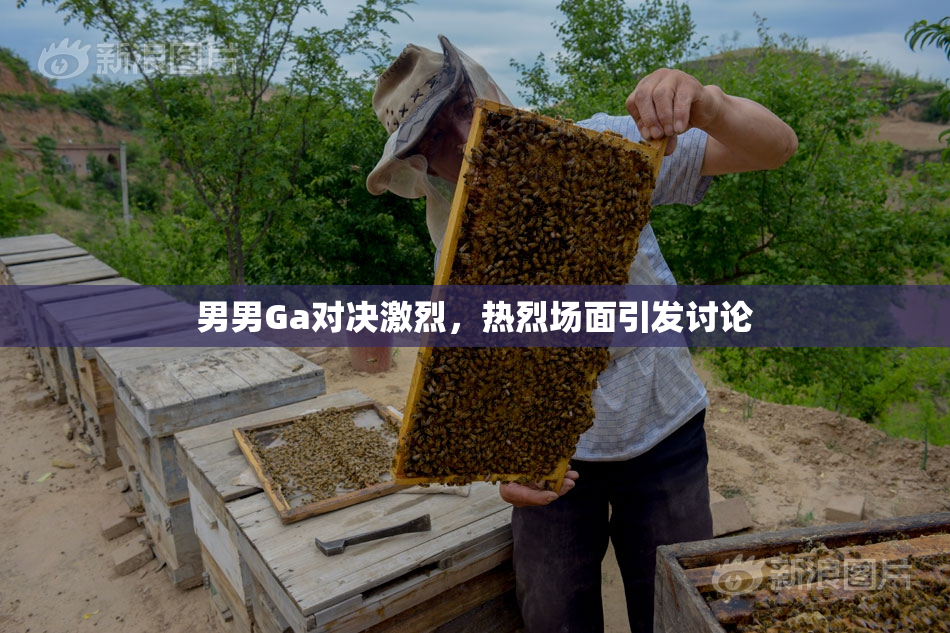 男男Ga对决激烈，热烈场面引发讨论