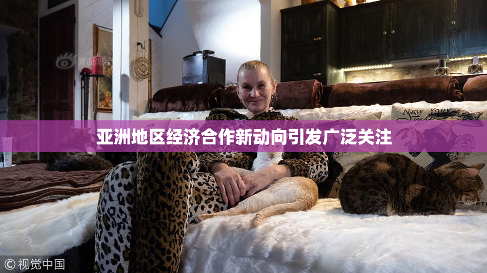 亚洲地区经济合作新动向引发广泛关注