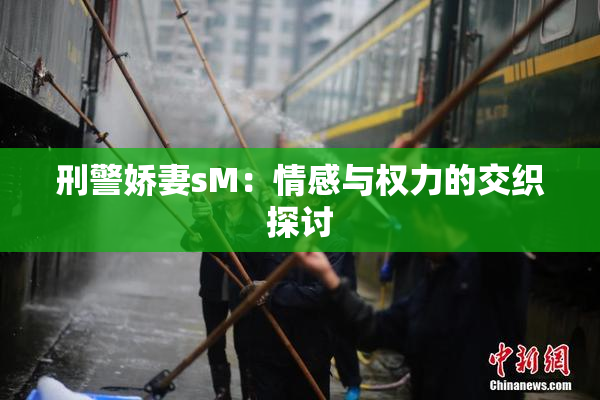 刑警娇妻sM：情感与权力的交织探讨