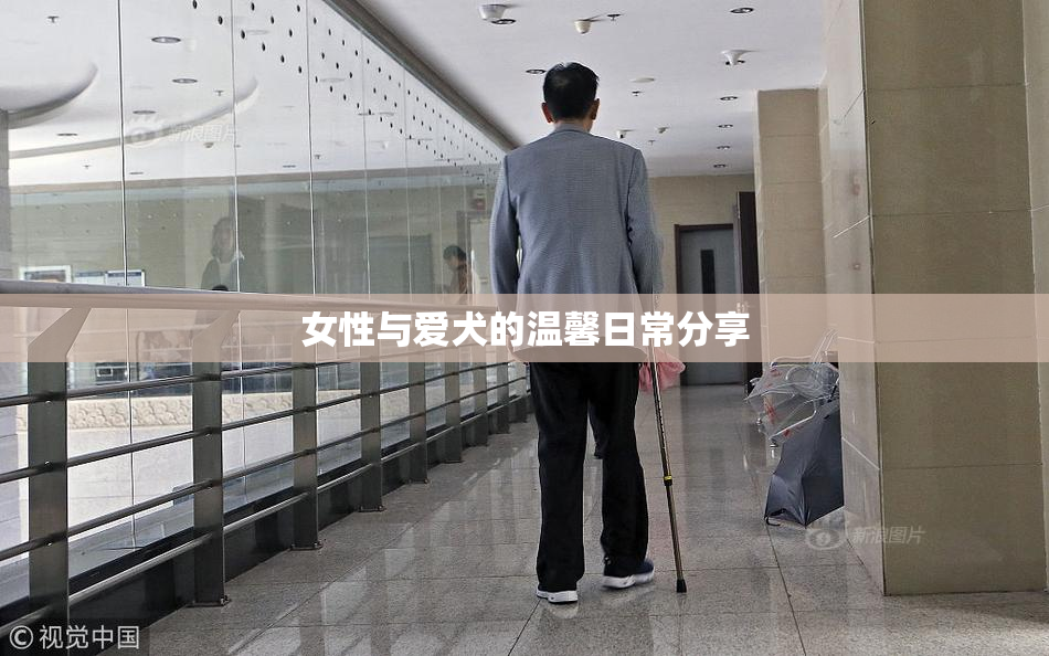 女性与爱犬的温馨日常分享