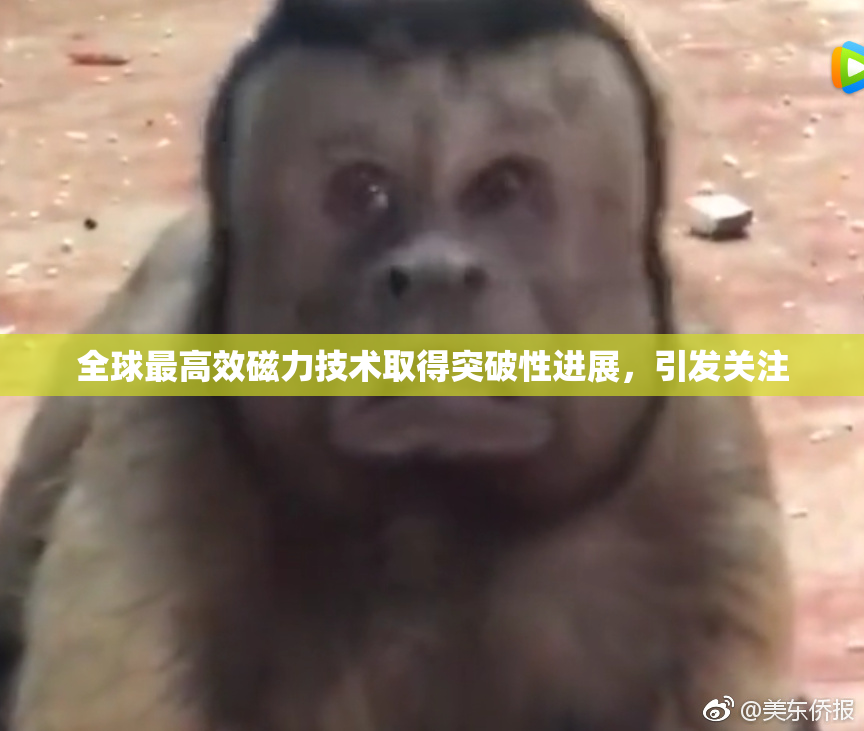 全球最高效磁力技术取得突破性进展，引发关注