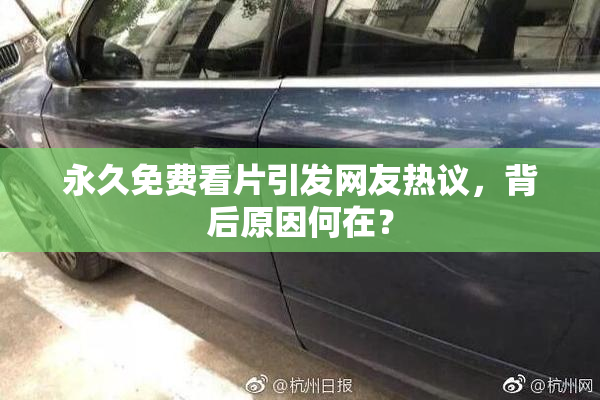 永久免费看片引发网友热议，背后原因何在？