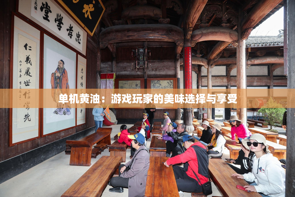 单机黄油：游戏玩家的美味选择与享受
