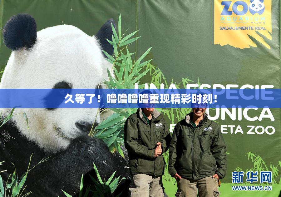 久等了！噜噜噜噜重现精彩时刻！