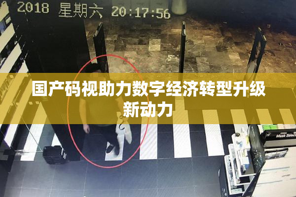 国产码视助力数字经济转型升级新动力