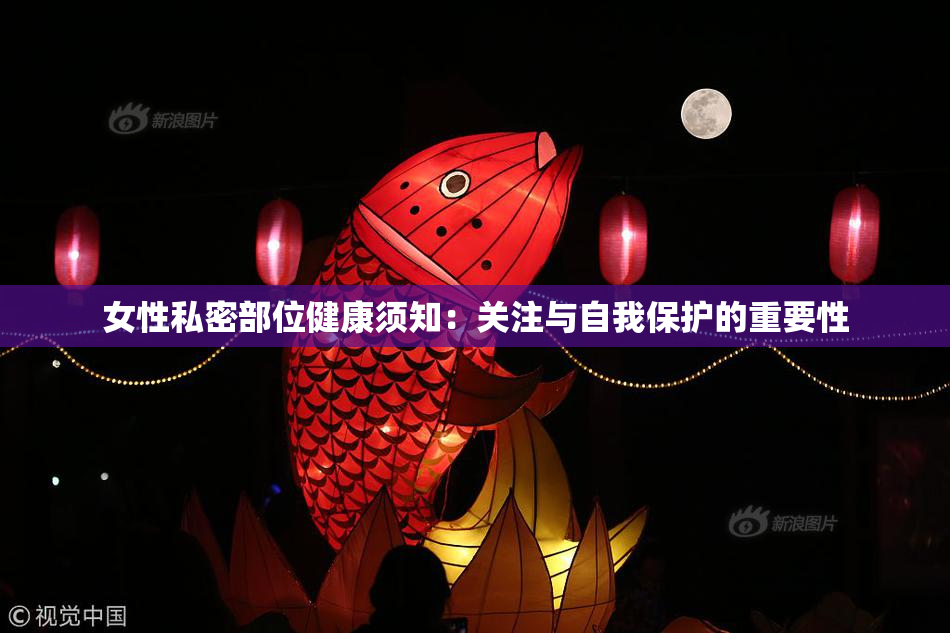 女性私密部位健康须知：关注与自我保护的重要性