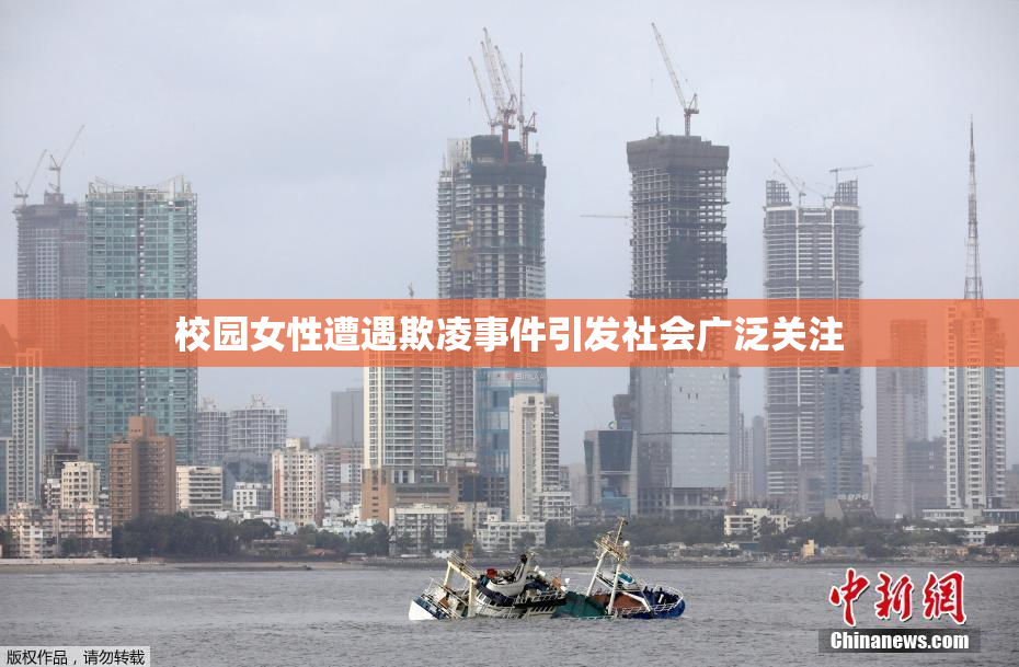 校园女性遭遇欺凌事件引发社会广泛关注