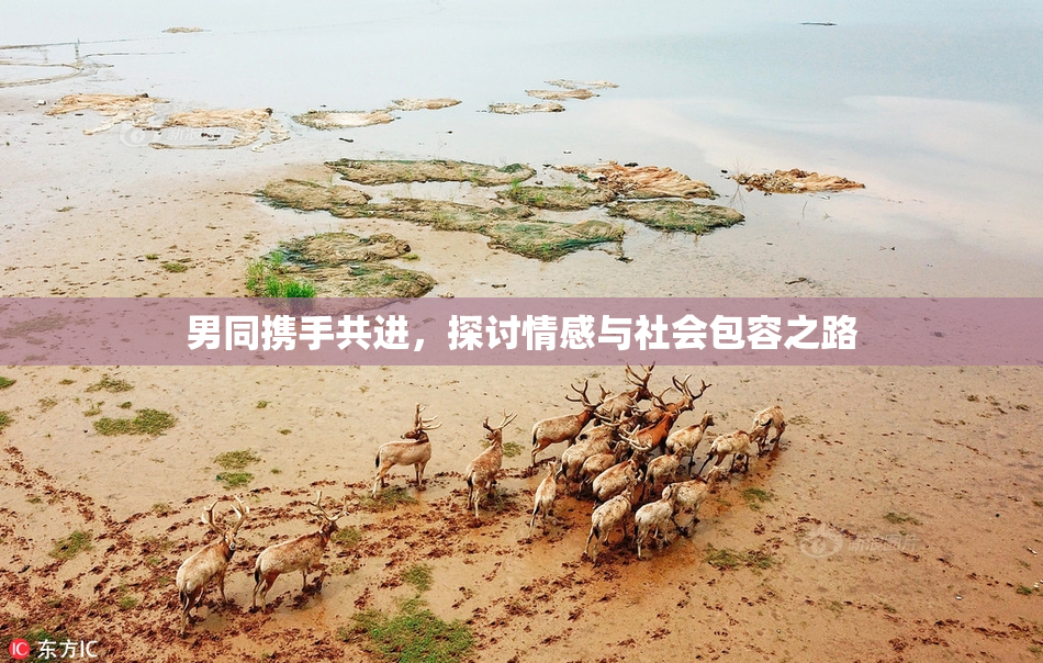 男同携手共进，探讨情感与社会包容之路