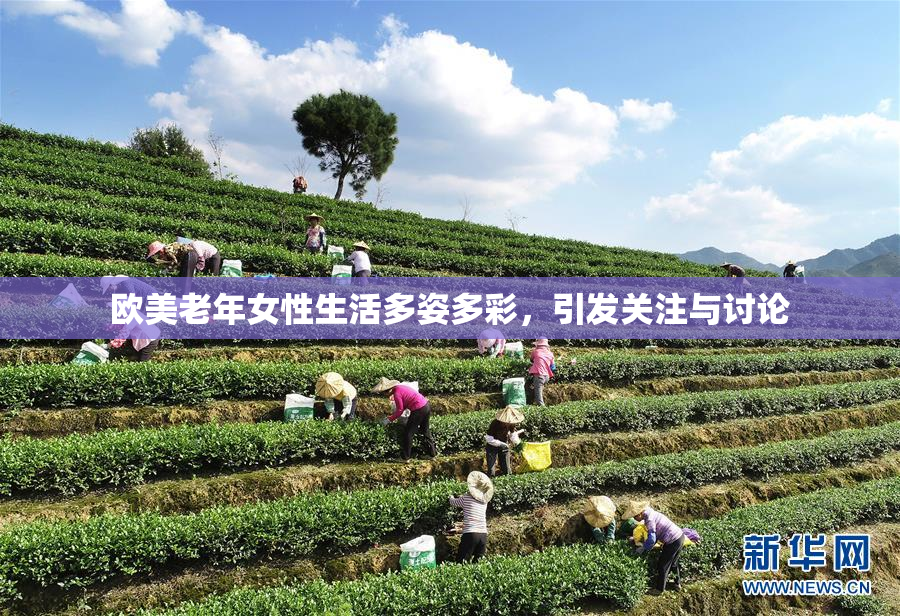 欧美老年女性生活多姿多彩，引发关注与讨论