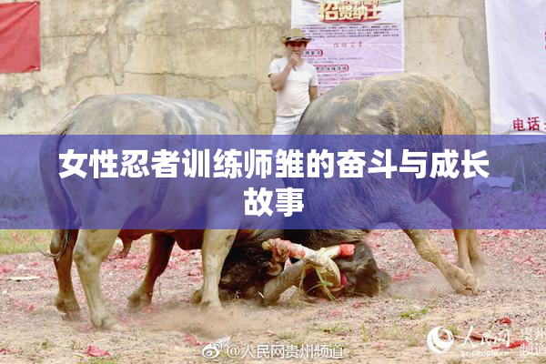 女性忍者训练师雏的奋斗与成长故事