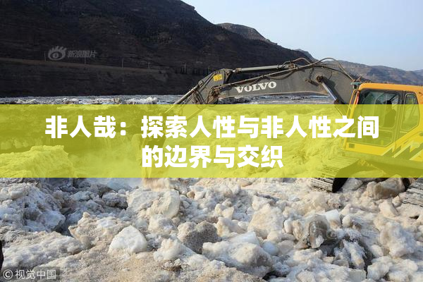 非人哉：探索人性与非人性之间的边界与交织