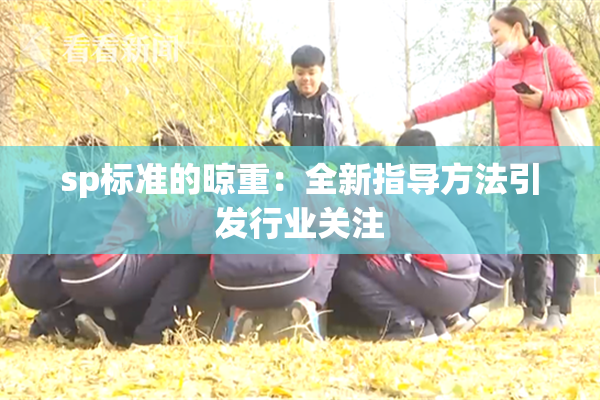 sp标准的晾重：全新指导方法引发行业关注