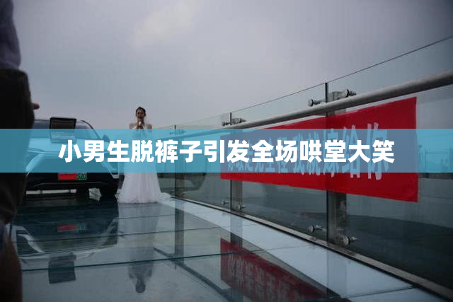 小男生脱裤子引发全场哄堂大笑
