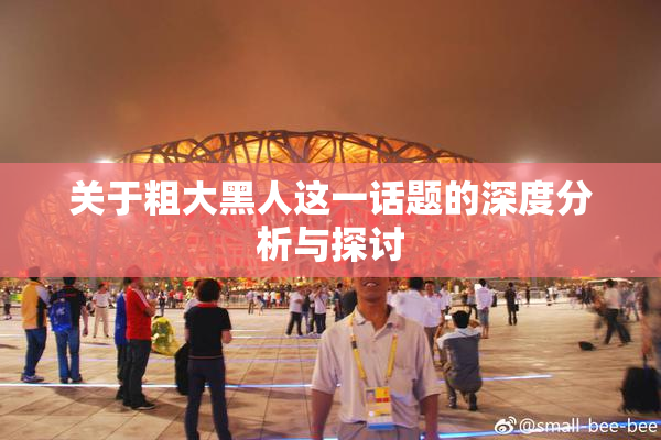 关于粗大黑人这一话题的深度分析与探讨