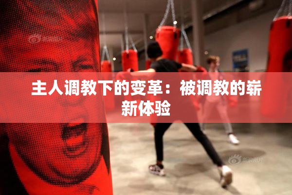 主人调教下的变革：被调教的崭新体验