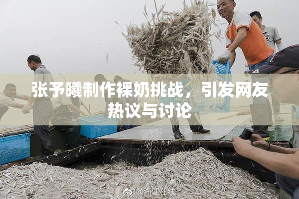 张予曦制作裸奶挑战，引发网友热议与讨论