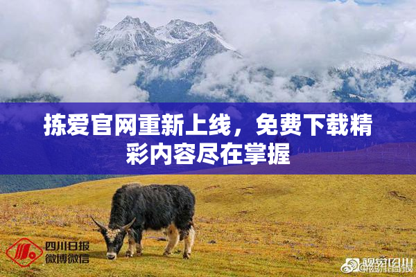 拣爱官网重新上线，免费下载精彩内容尽在掌握