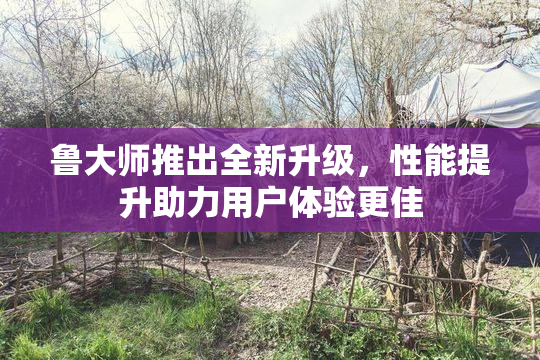 鲁大师推出全新升级，性能提升助力用户体验更佳