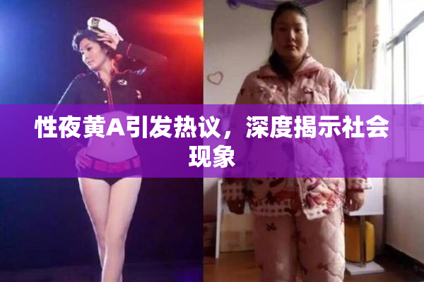 性夜黄A引发热议，深度揭示社会现象