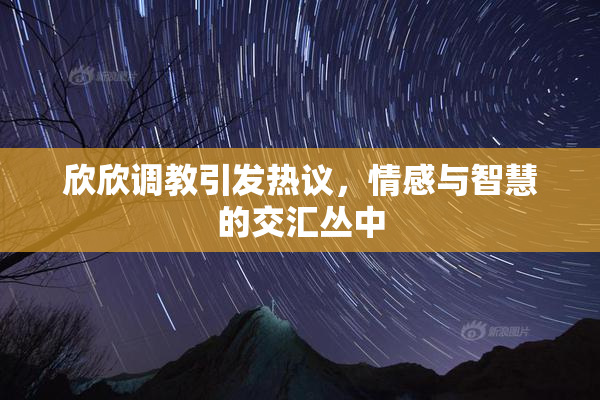欣欣调教引发热议，情感与智慧的交汇丛中
