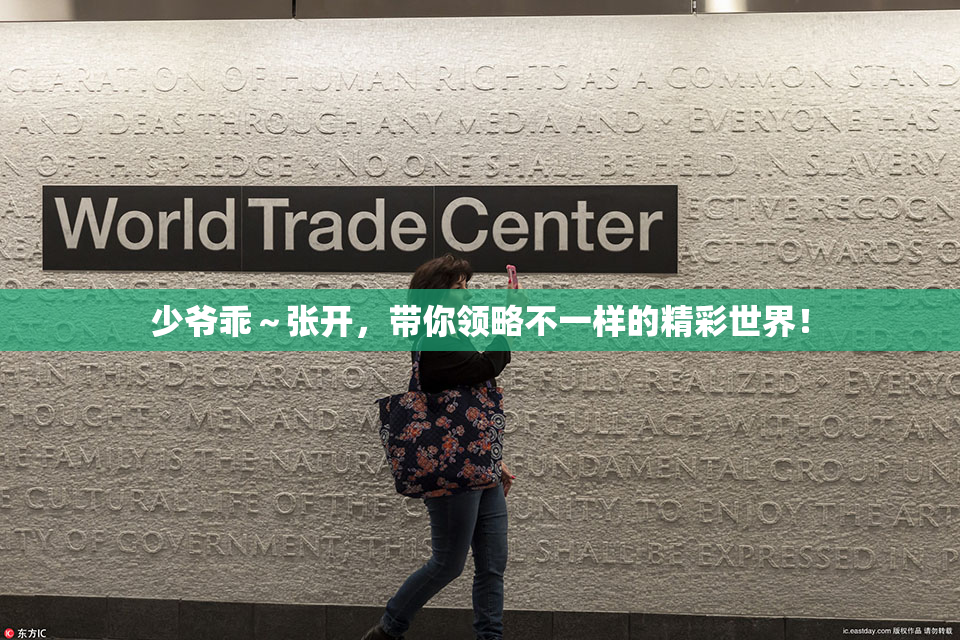 少爷乖～张开，带你领略不一样的精彩世界！