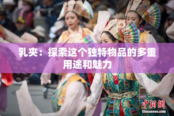 乳夹：探索这个独特物品的多重用途和魅力
