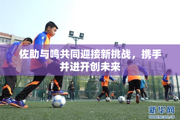 佐助与鸣共同迎接新挑战，携手并进开创未来