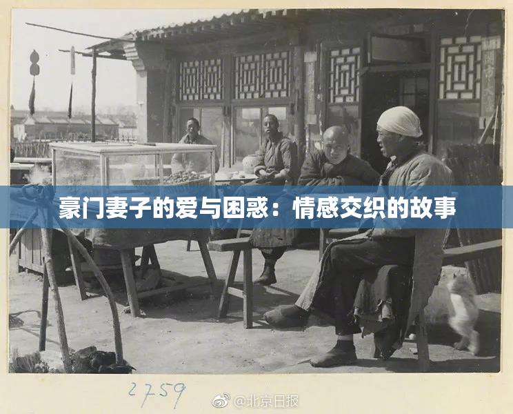 豪门妻子的爱与困惑：情感交织的故事