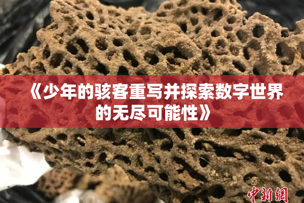 《少年的骇客重写并探索数字世界的无尽可能性》