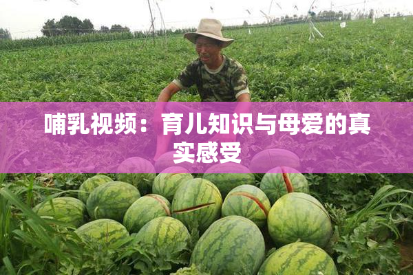 哺乳视频：育儿知识与母爱的真实感受