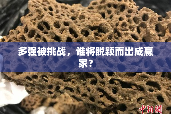 多强被挑战，谁将脱颖而出成赢家？