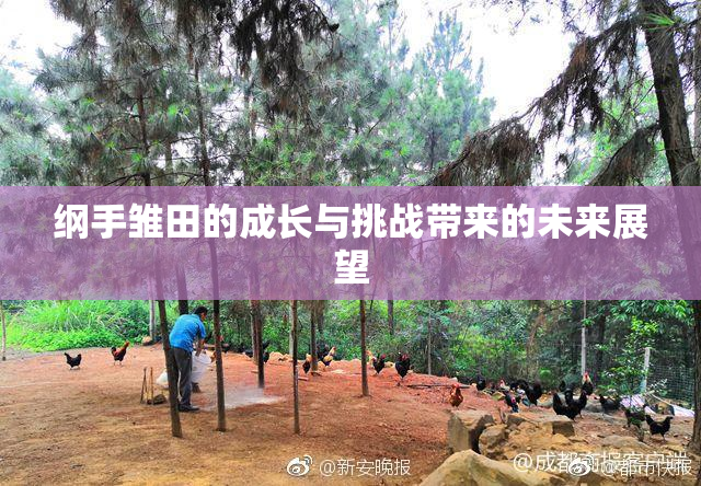 纲手雏田的成长与挑战带来的未来展望