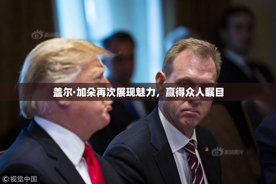 盖尔·加朵再次展现魅力，赢得众人瞩目