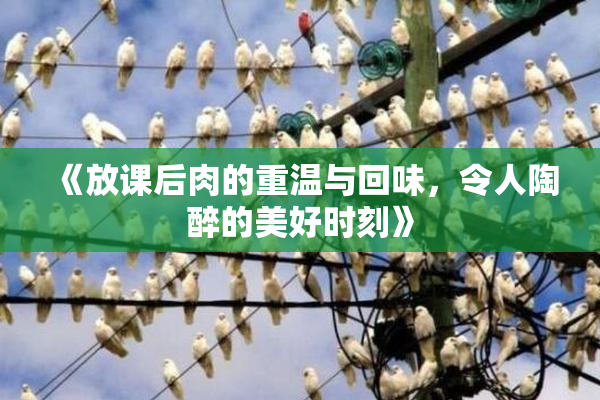 《放课后肉的重温与回味，令人陶醉的美好时刻》