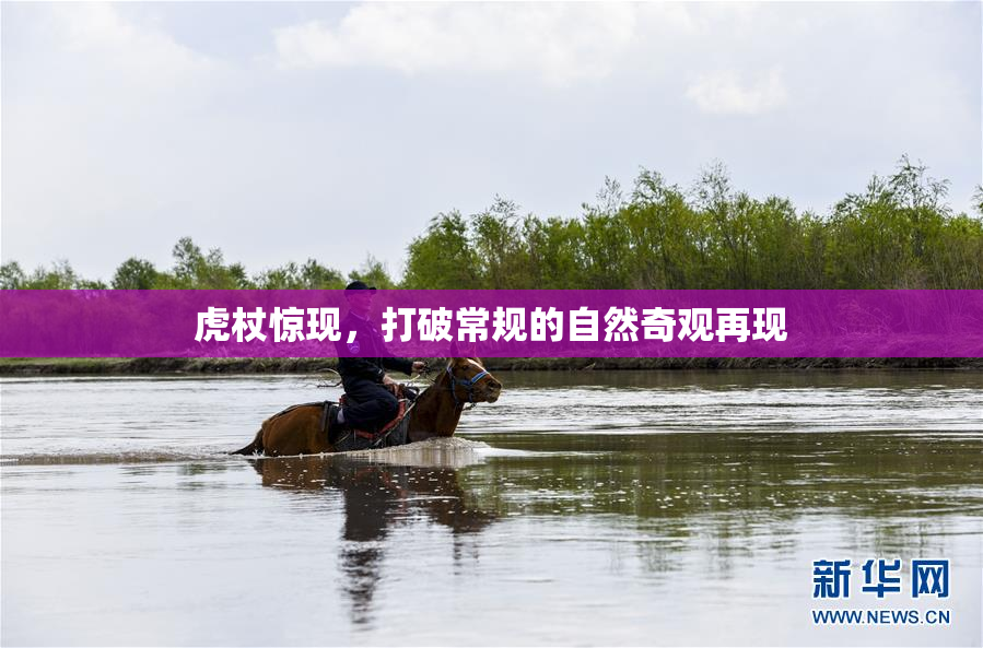 虎杖惊现，打破常规的自然奇观再现