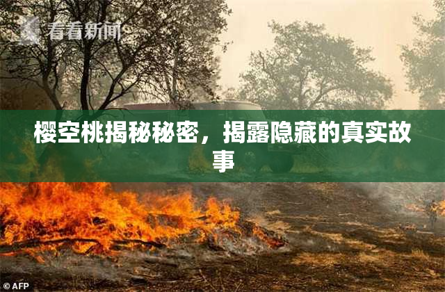 樱空桃揭秘秘密，揭露隐藏的真实故事