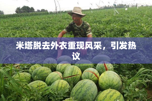 米塔脱去外衣重现风采，引发热议