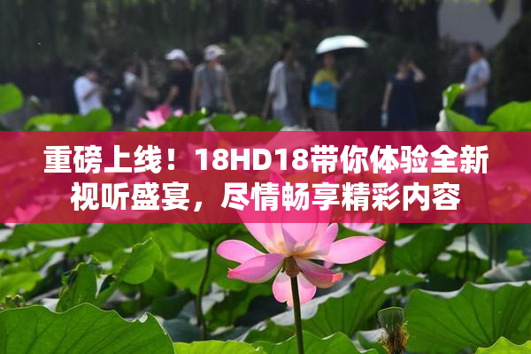 重磅上线！18HD18带你体验全新视听盛宴，尽情畅享精彩内容