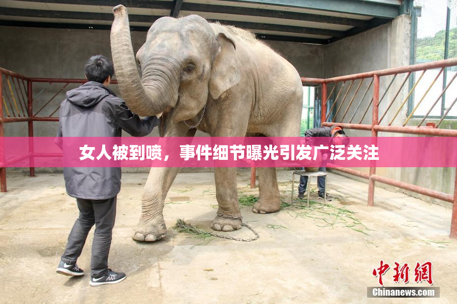 女人被到喷，事件细节曝光引发广泛关注