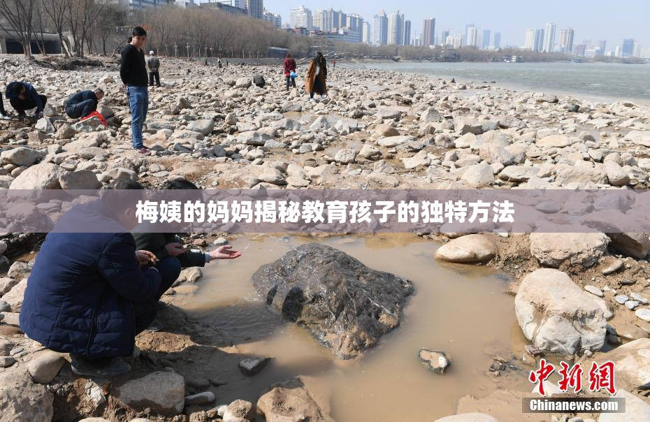 梅姨的妈妈揭秘教育孩子的独特方法