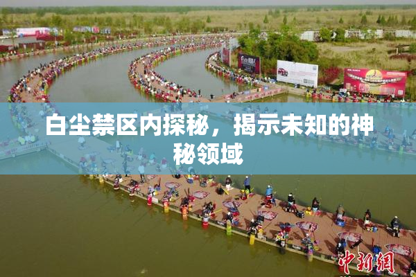 白尘禁区内探秘，揭示未知的神秘领域