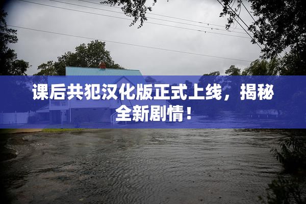 课后共犯汉化版正式上线，揭秘全新剧情！
